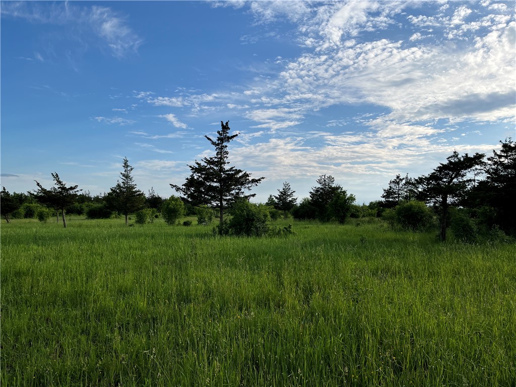 0 Thomas Road Adams Center, NY 13606 - Photo 30 of 50