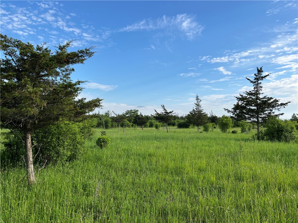 0 Thomas Road Adams Center, NY 13606 - Photo 31 of 50