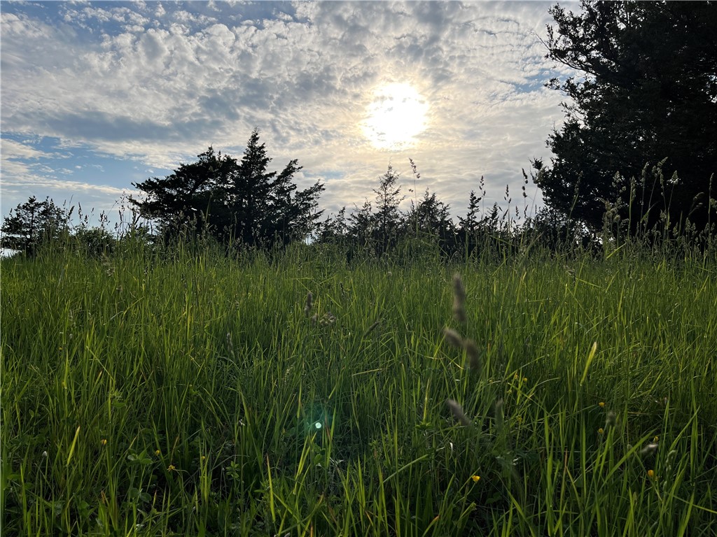 0 Thomas Road Adams Center, NY 13606 - Photo 32 of 50