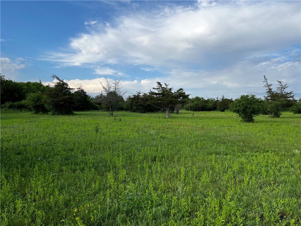 0 Thomas Road Adams Center, NY 13606 - Photo 33 of 50