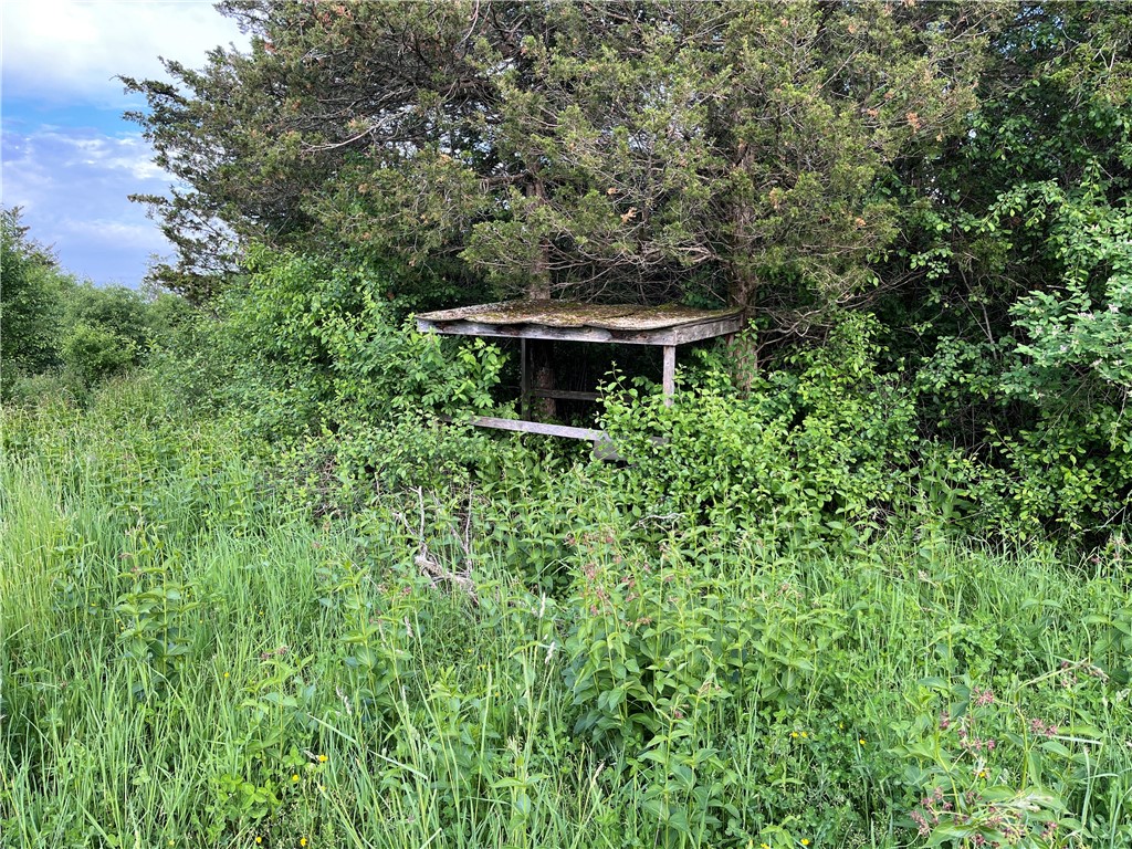 0 Thomas Road Adams Center, NY 13606 - Photo 34 of 50