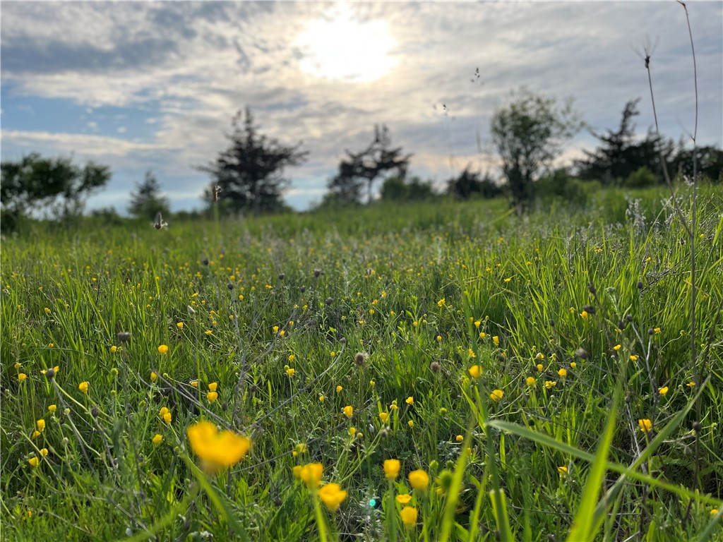 0 Thomas Road Adams Center, NY 13606 - Photo 35 of 50