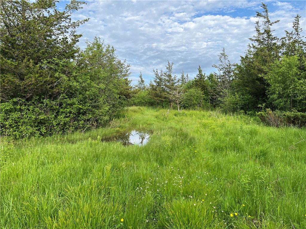 0 Thomas Road Adams Center, NY 13606 - Photo 37 of 50