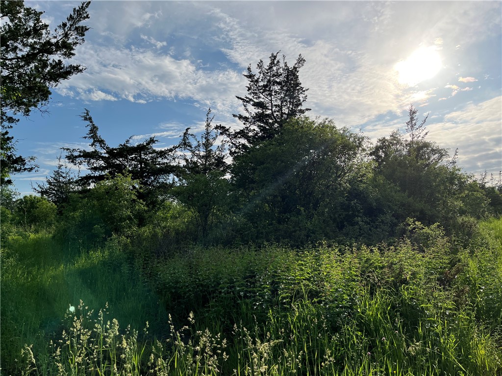 0 Thomas Road Adams Center, NY 13606 - Photo 38 of 50