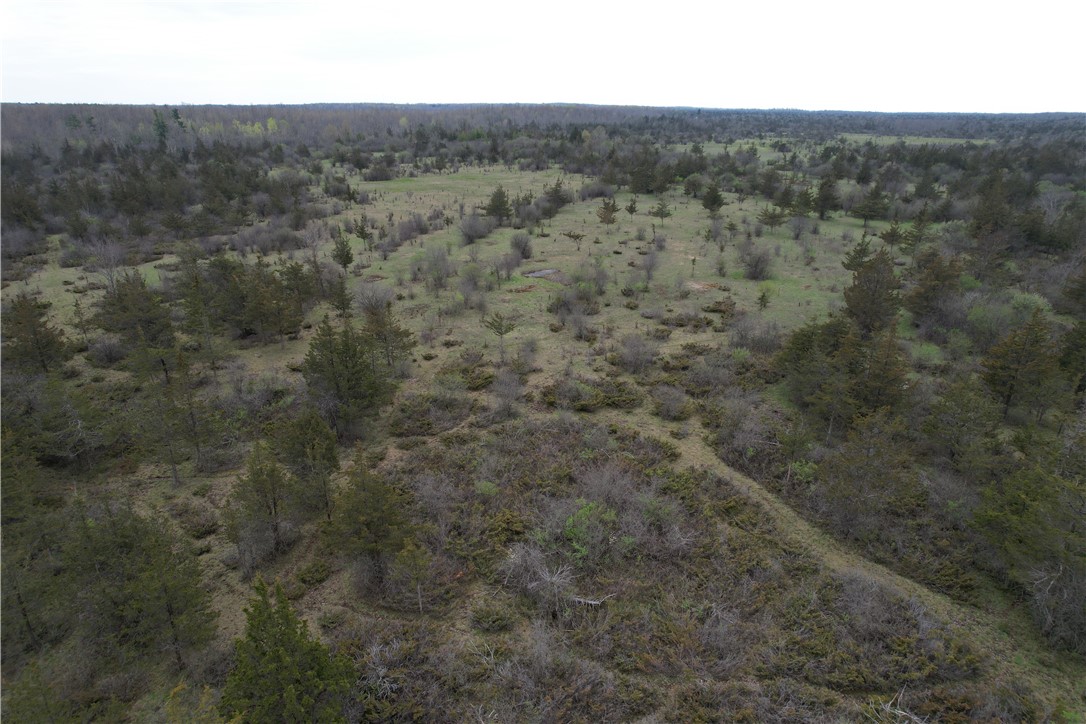 0 Thomas Road Adams Center, NY 13606 - Photo 39 of 50