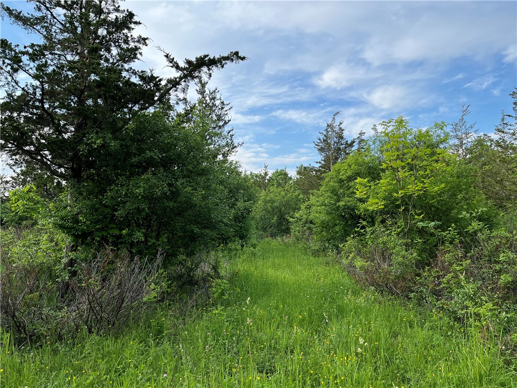 0 Thomas Road Adams Center, NY 13606 - Photo 40 of 50