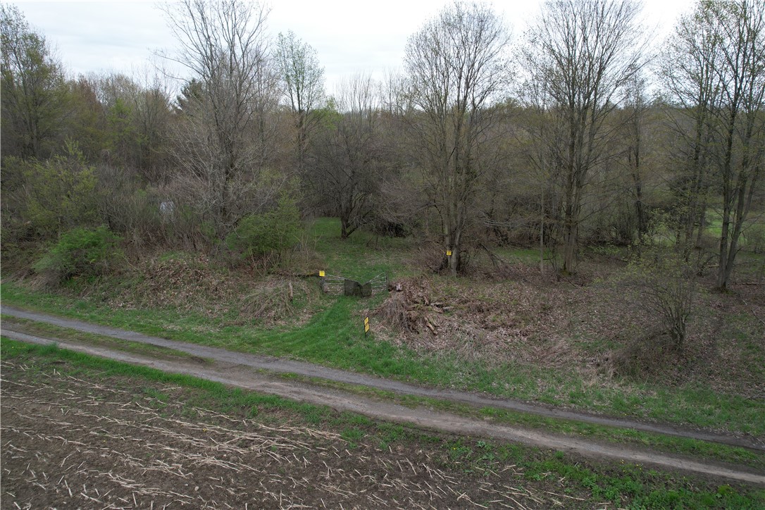 0 Thomas Road Adams Center, NY 13606 - Photo 44 of 50