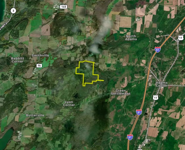 0 Thomas Road Adams Center, NY 13606 - Photo 48 of 50