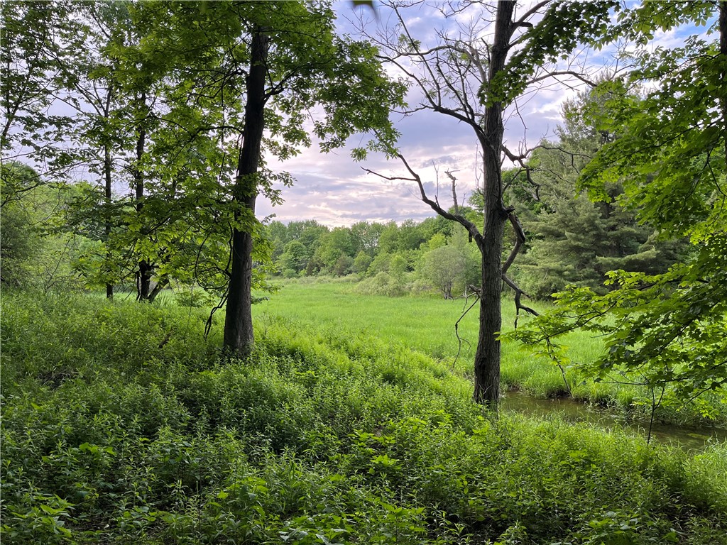 0 Thomas Road Adams Center, NY 13606 - Photo 6 of 50