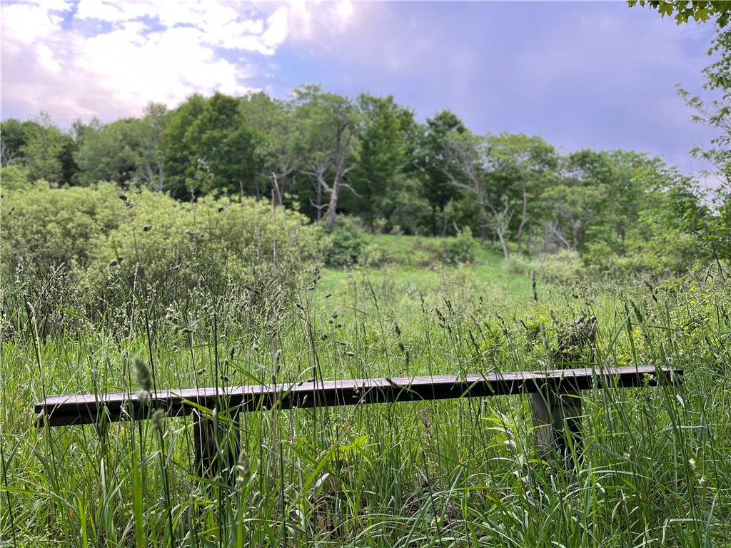 0 Thomas Road Adams Center, NY 13606 - Photo 7 of 50