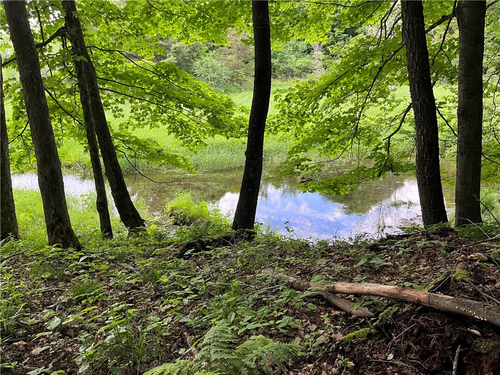 0 Thomas Road Adams Center, NY 13606 - Photo 9 of 50