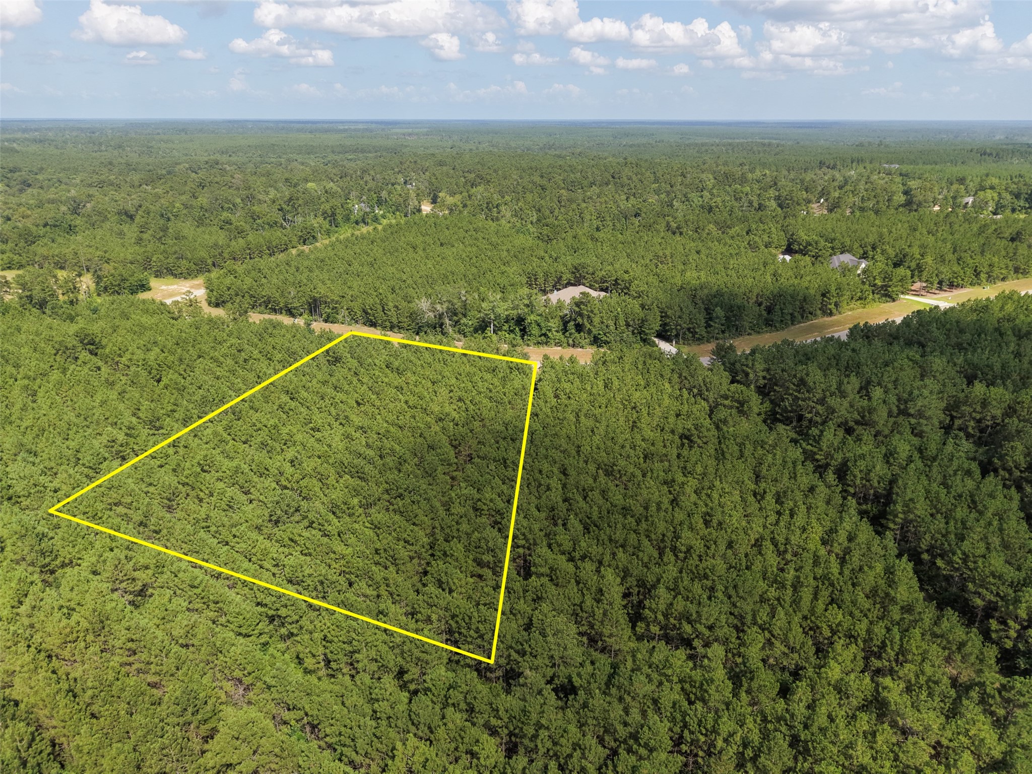 15785 Woodlife Road Willis, TX 77378 - Photo 3 of 12