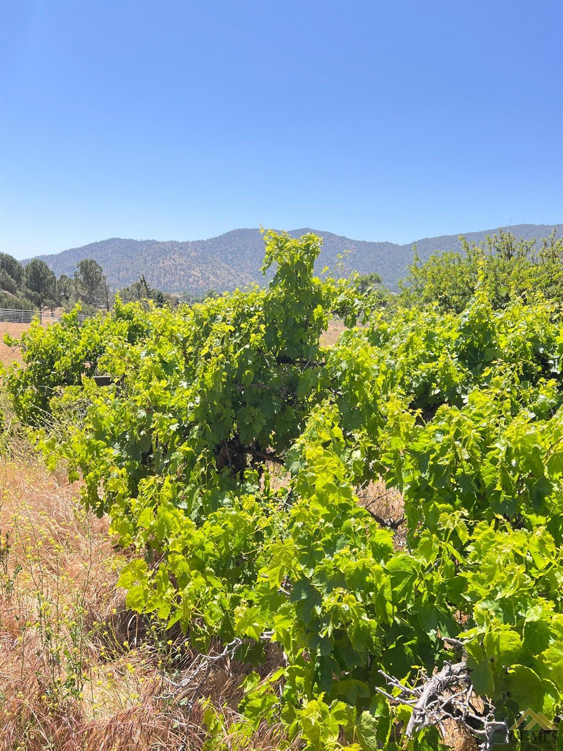 Undisclosed Address Caliente, CA 93518 - Photo 35 of 54