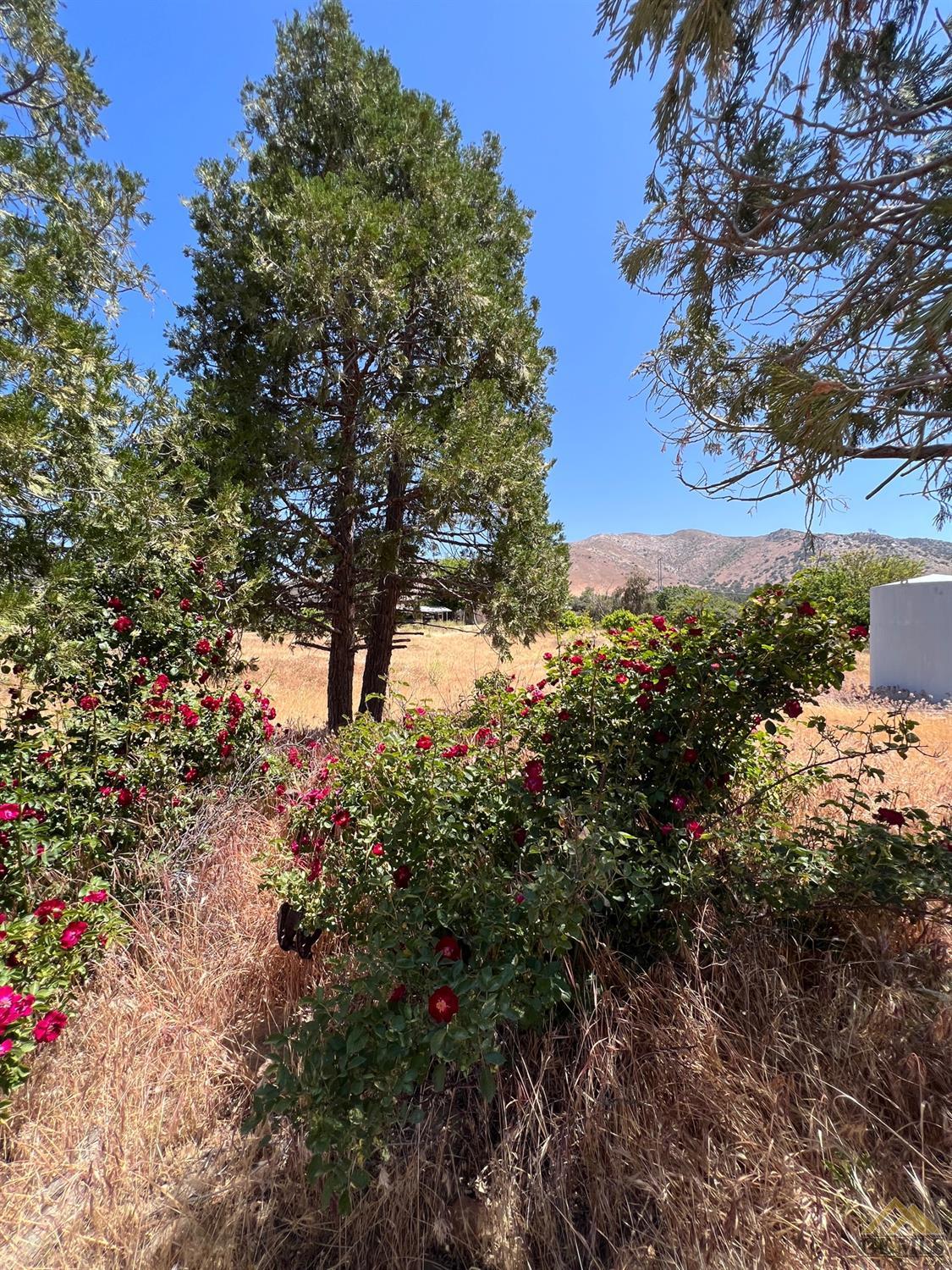 Undisclosed Address Caliente, CA 93518 - Photo 40 of 54 a view of a tree with a yard