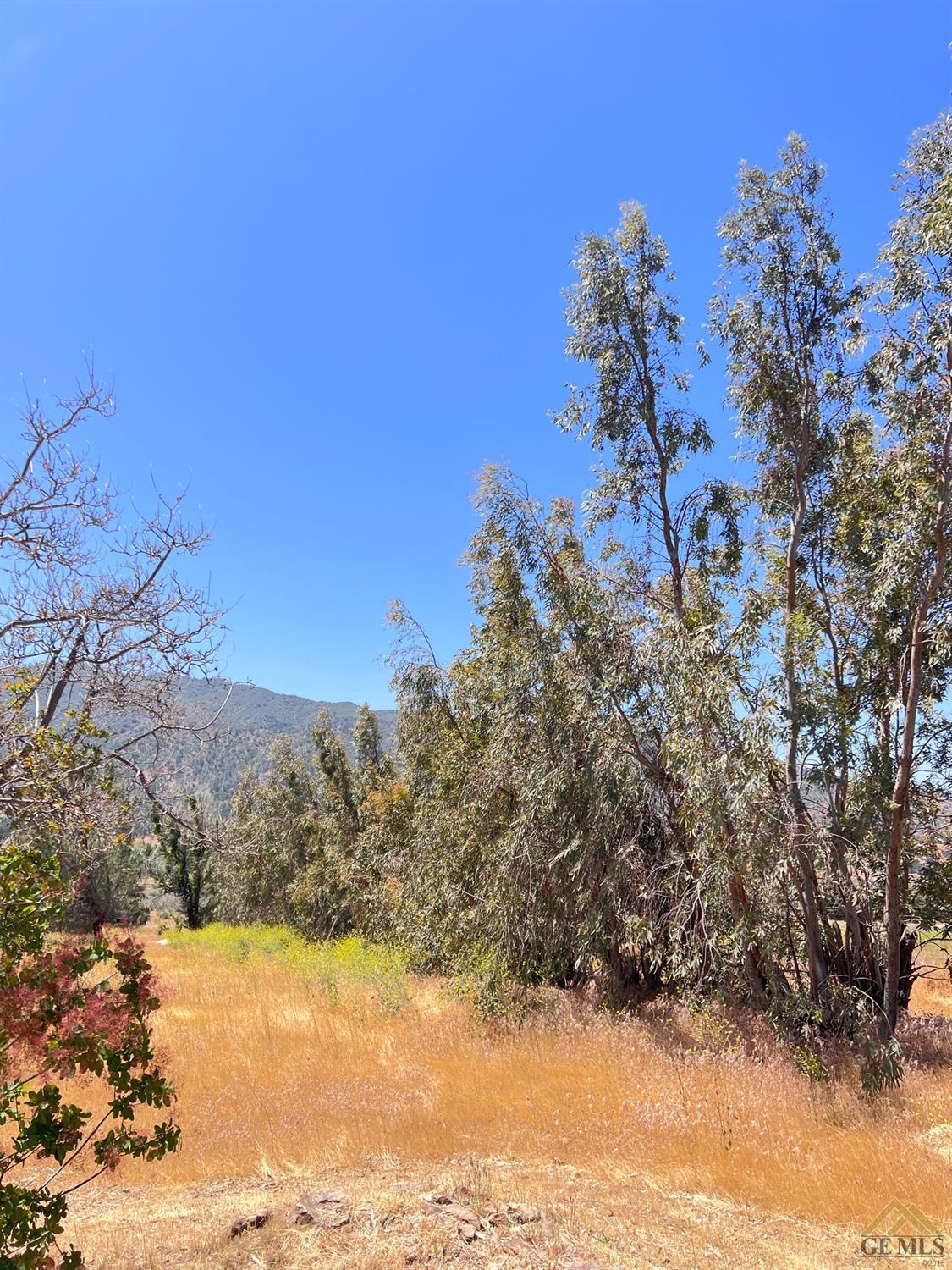 Undisclosed Address Caliente, CA 93518 - Photo 43 of 54 a view of a yard with a tree