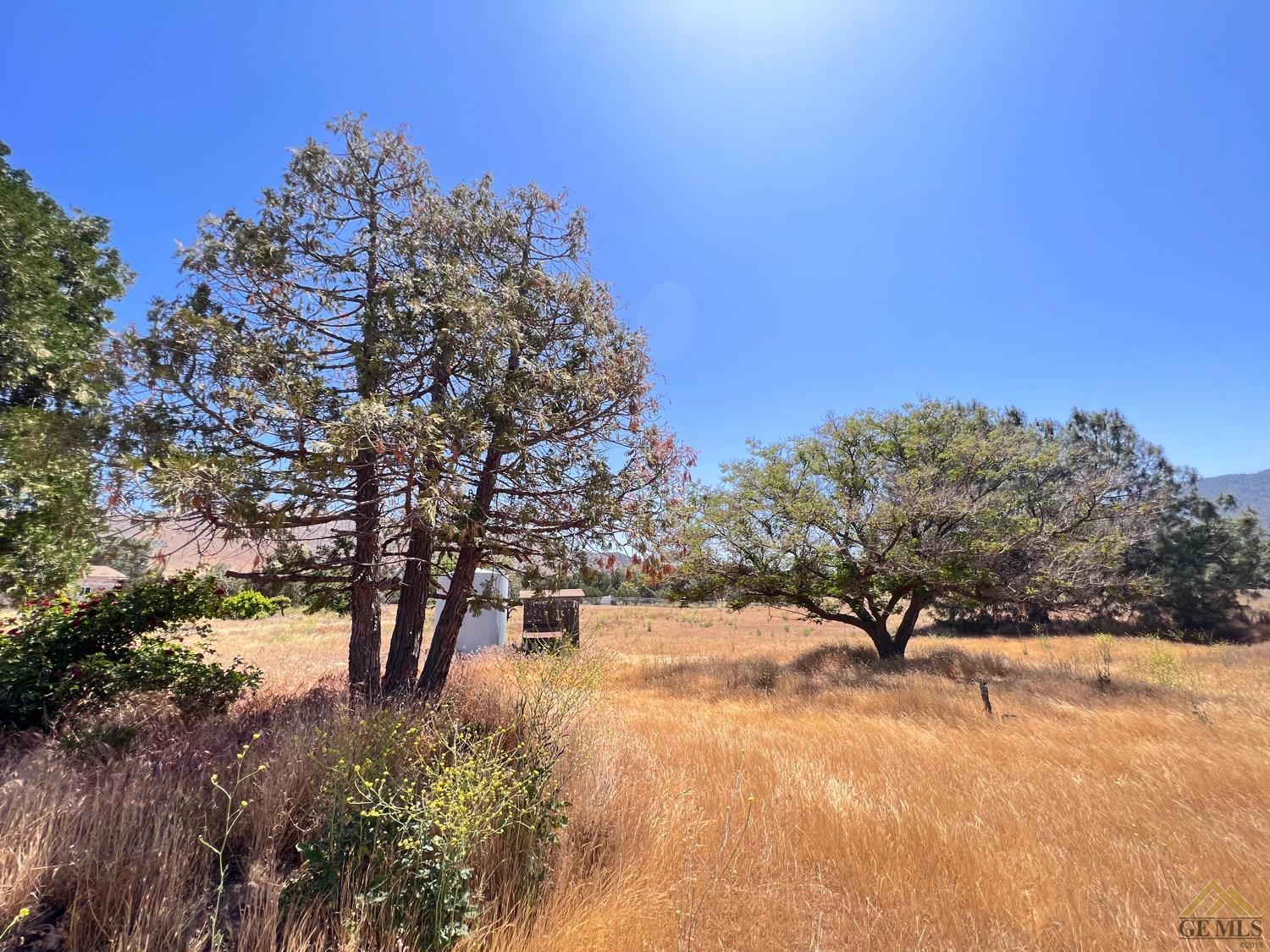 Undisclosed Address Caliente, CA 93518 - Photo 48 of 54 a view of outdoor space with lots of trees