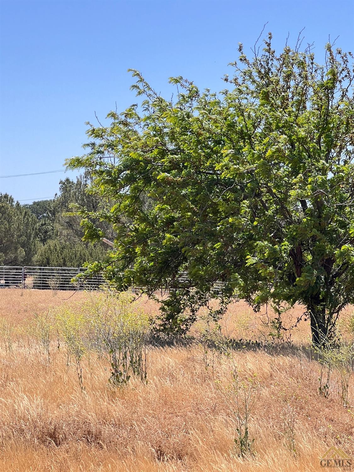 Undisclosed Address Caliente, CA 93518 - Photo 50 of 54 a view of a yard with a tree