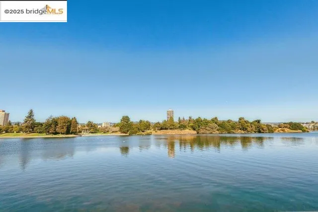 a living room filled with furniture and a potted plant