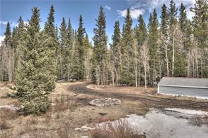 330 Gold Run Road Alma, CO 80420 - Photo 22 of 23 Gallery Image 22