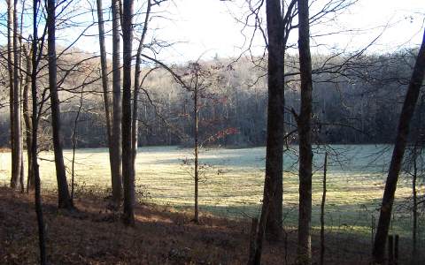 33 Branch Way Ellijay, GA 30536 - Photo 1 of 1 Main View