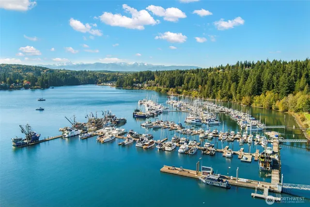 a view of a lake with houses