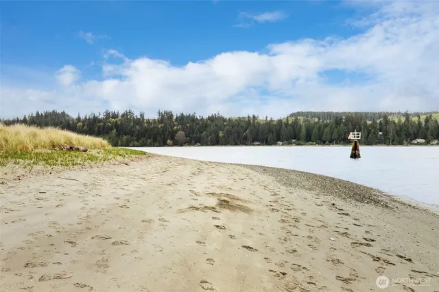 a view of a dry yard with a lake