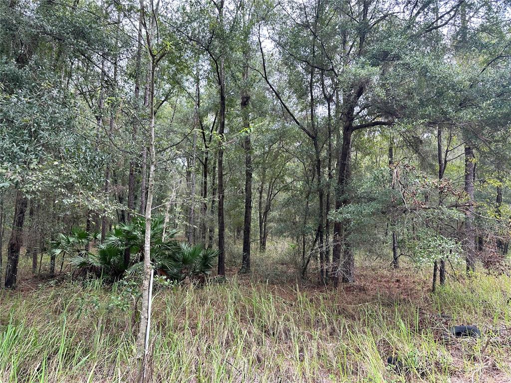 0 Southwest 38th Street Road Ocala, FL 34481 - Photo 1 of 1 Front