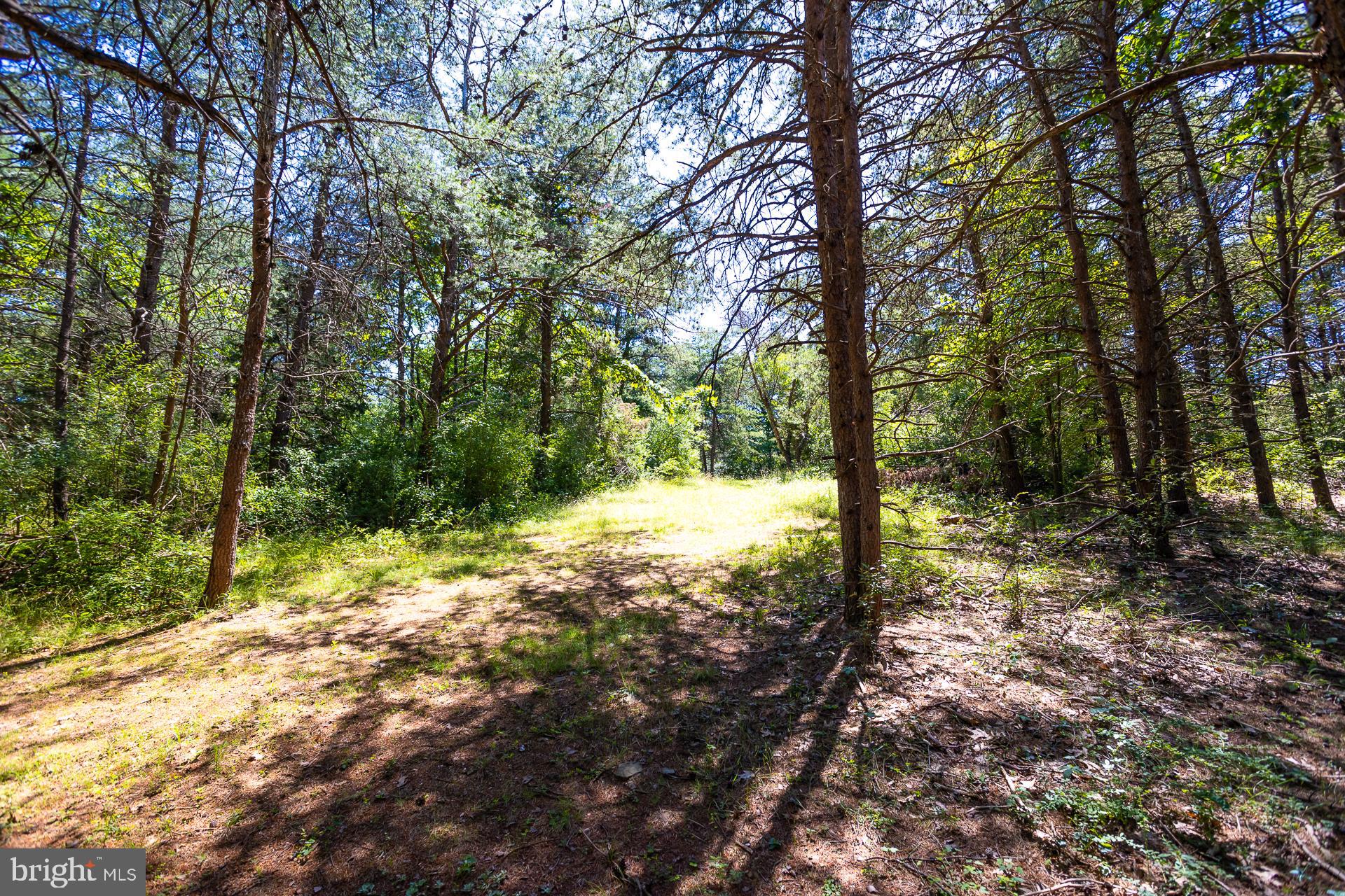 Lot 41 Adams Road Winchester, VA 22603 - Photo 5 of 19 Gallery Image 5