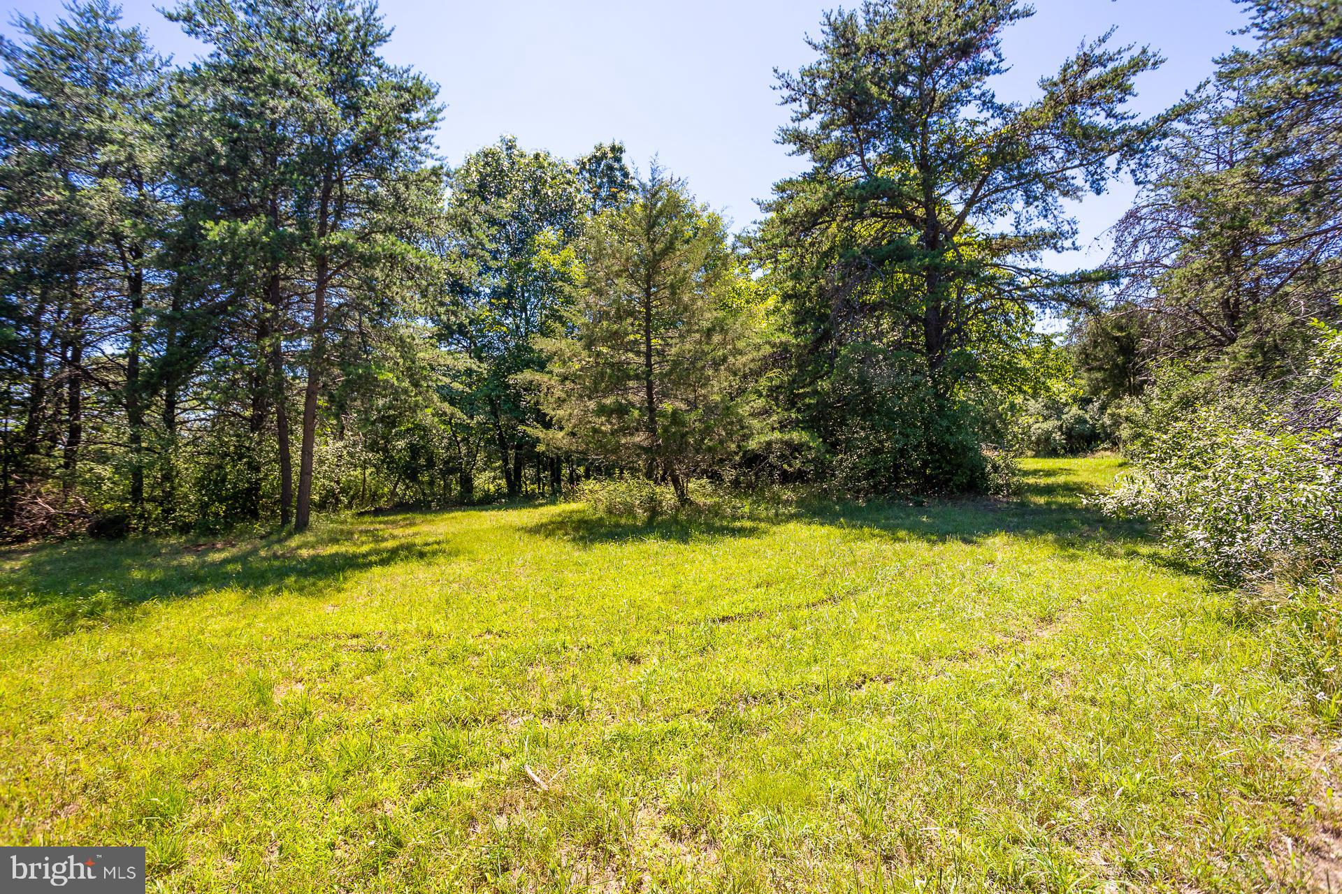 Lot 41 Adams Road Winchester, VA 22603 - Photo 7 of 19 Gallery Image 7