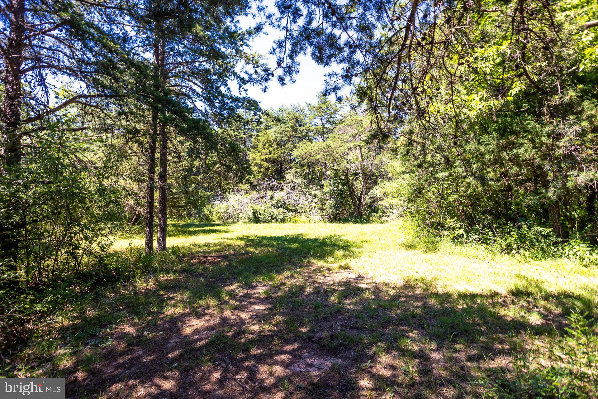 Lot 41 Adams Road Winchester, VA 22603 - Photo 8 of 19 Gallery Image 8
