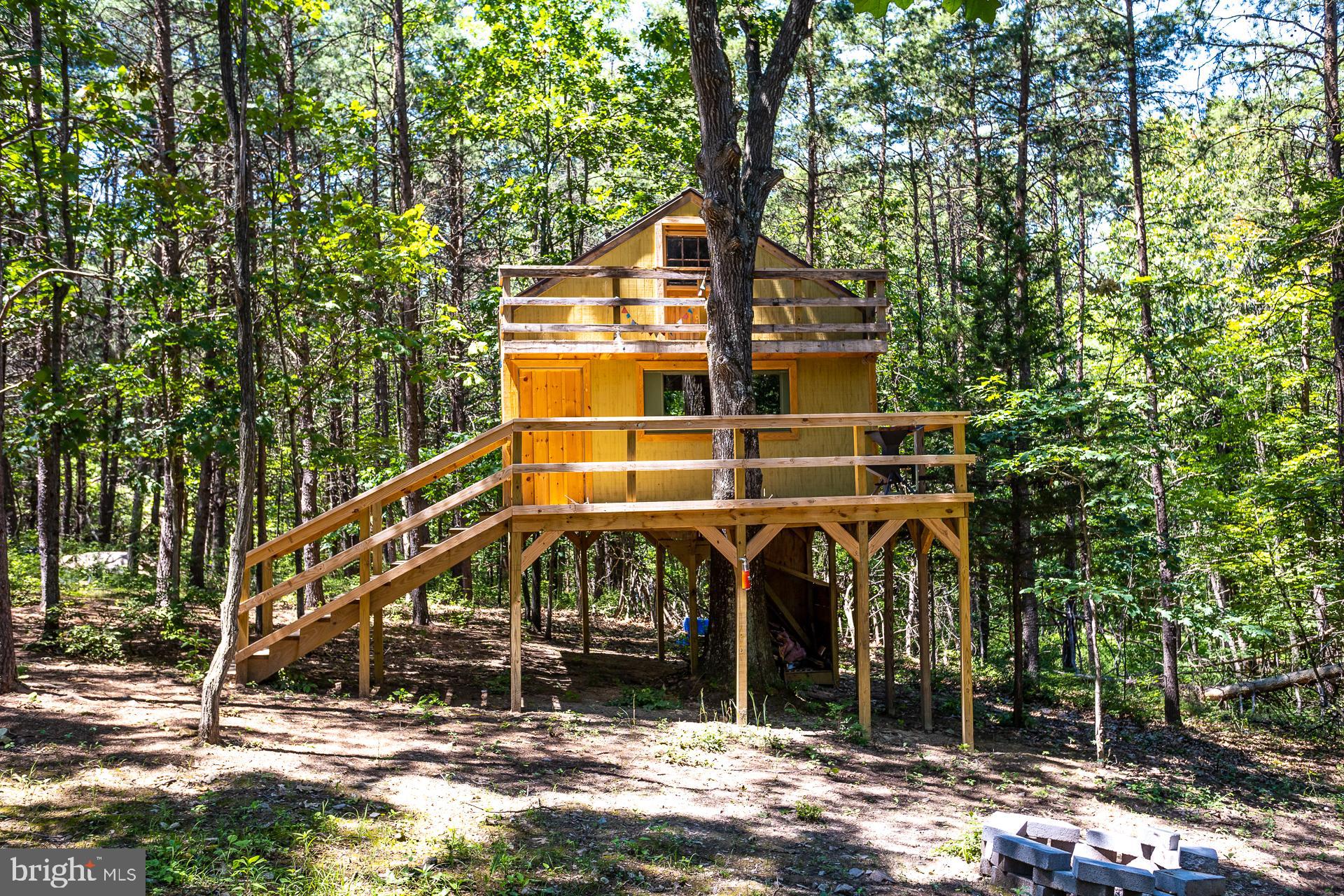 Lot 41 Adams Road Winchester, VA 22603 - Photo 9 of 19 The Treehouse!