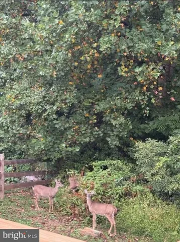 $389,900 | 14 Worral Court, Newark, DE 19711