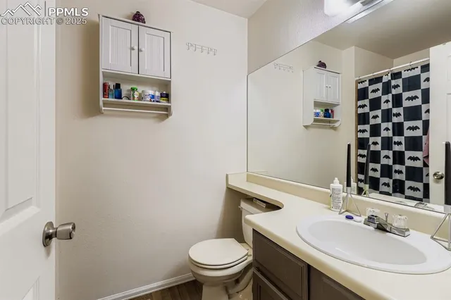 a bathroom with a sink a toilet and shower curtain
