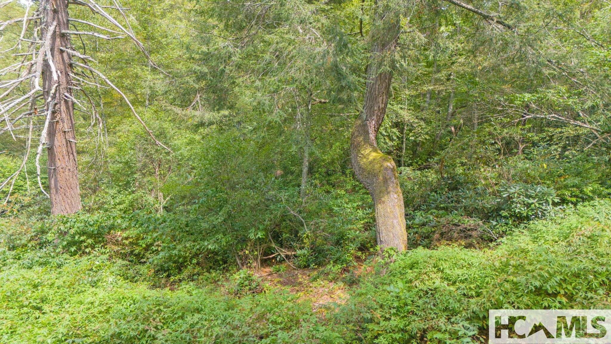 0 Sherwood Forest Road Highlands, NC 28741 - Photo 10 of 21 Gallery Image 10