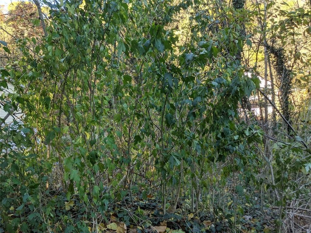 0 Riverview Avenue McKees Rocks, PA 15136 - Photo 2 of 12 a view of a lush green forest
