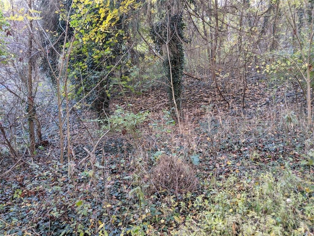 0 Riverview Avenue McKees Rocks, PA 15136 - Photo 4 of 12 a view of a forest with trees
