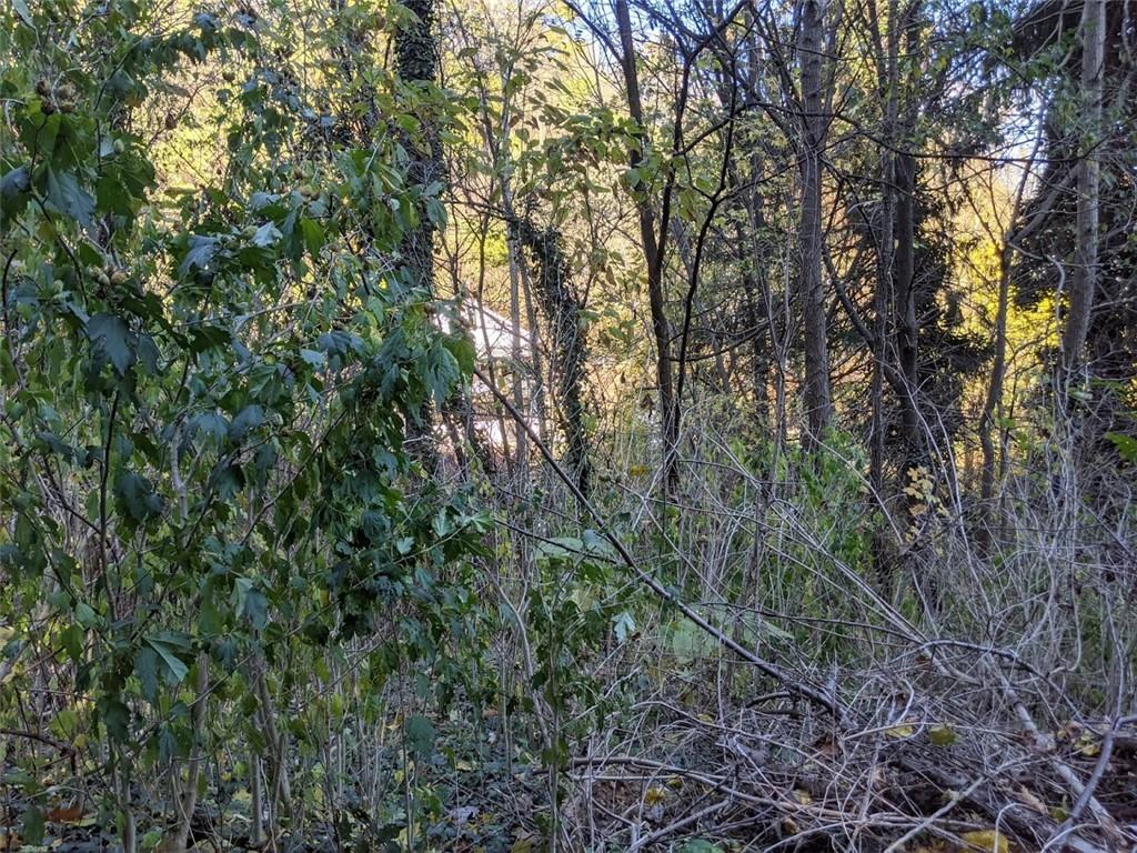 0 Riverview Avenue McKees Rocks, PA 15136 - Photo 7 of 12 a view of a yard with a tree