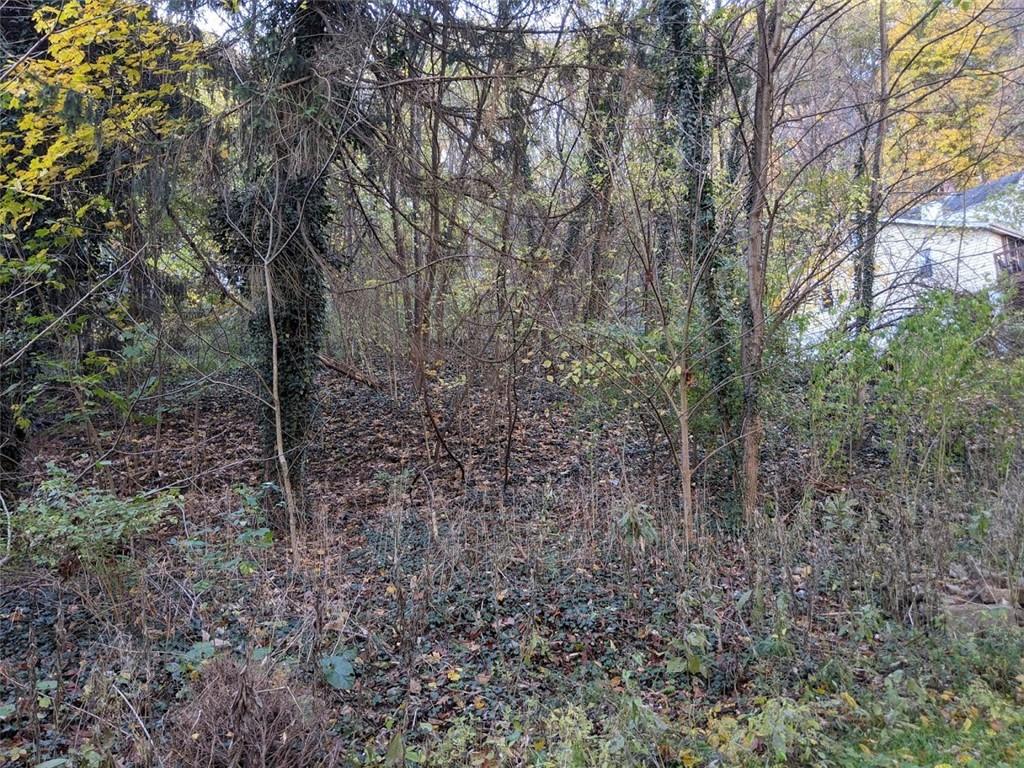 0 Riverview Avenue McKees Rocks, PA 15136 - Photo 8 of 12 a view of a forest with trees in the background