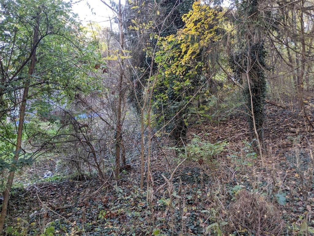 0 Riverview Avenue McKees Rocks, PA 15136 - Photo 10 of 12 a view of a forest that has a tree