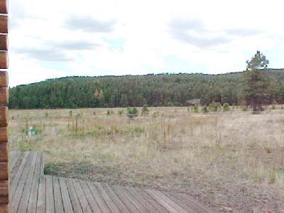 9030 North Snow Bowl Ranch Road Flagstaff, AZ 86001 - Photo 17 of 22 Additional Photo