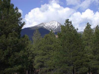 9030 North Snow Bowl Ranch Road Flagstaff, AZ 86001 - Photo 20 of 22 Additional Photo