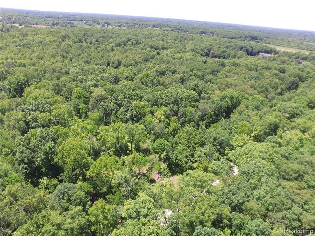 68301 Eight Mile Road South Lyon, MI 48178 - Photo 9 of 16 Gallery Image 9