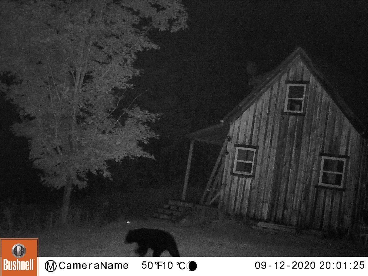 1195 Ramsey Road Wheelock, VT 05851 - Photo 14 of 17 Gallery Image 14