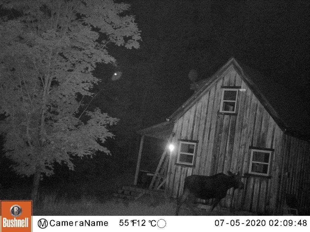 1195 Ramsey Road Wheelock, VT 05851 - Photo 15 of 17 Gallery Image 15