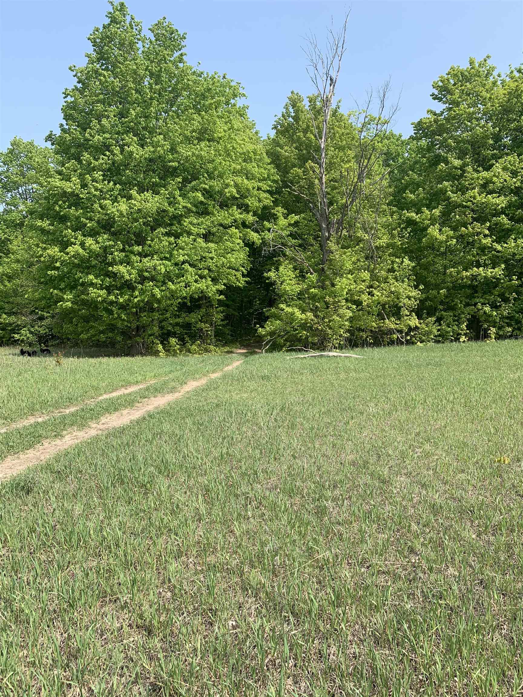 Parcel 4-off Parcel 4-off Doerr Road Mancelona, MI 49659 - Photo 2 of 7