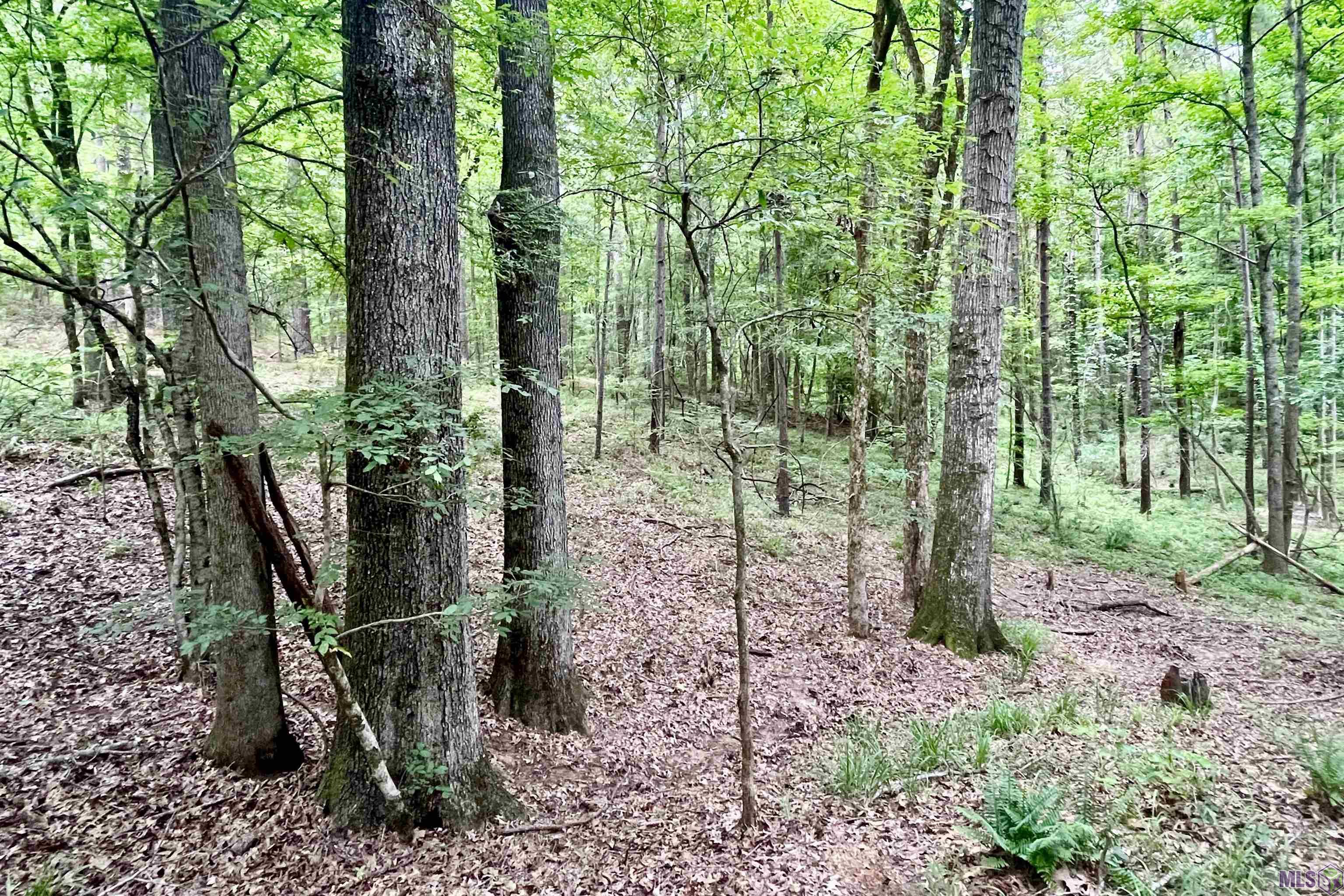 655 Oil Well Road Fayette, MS 39069 - Photo 40 of 58