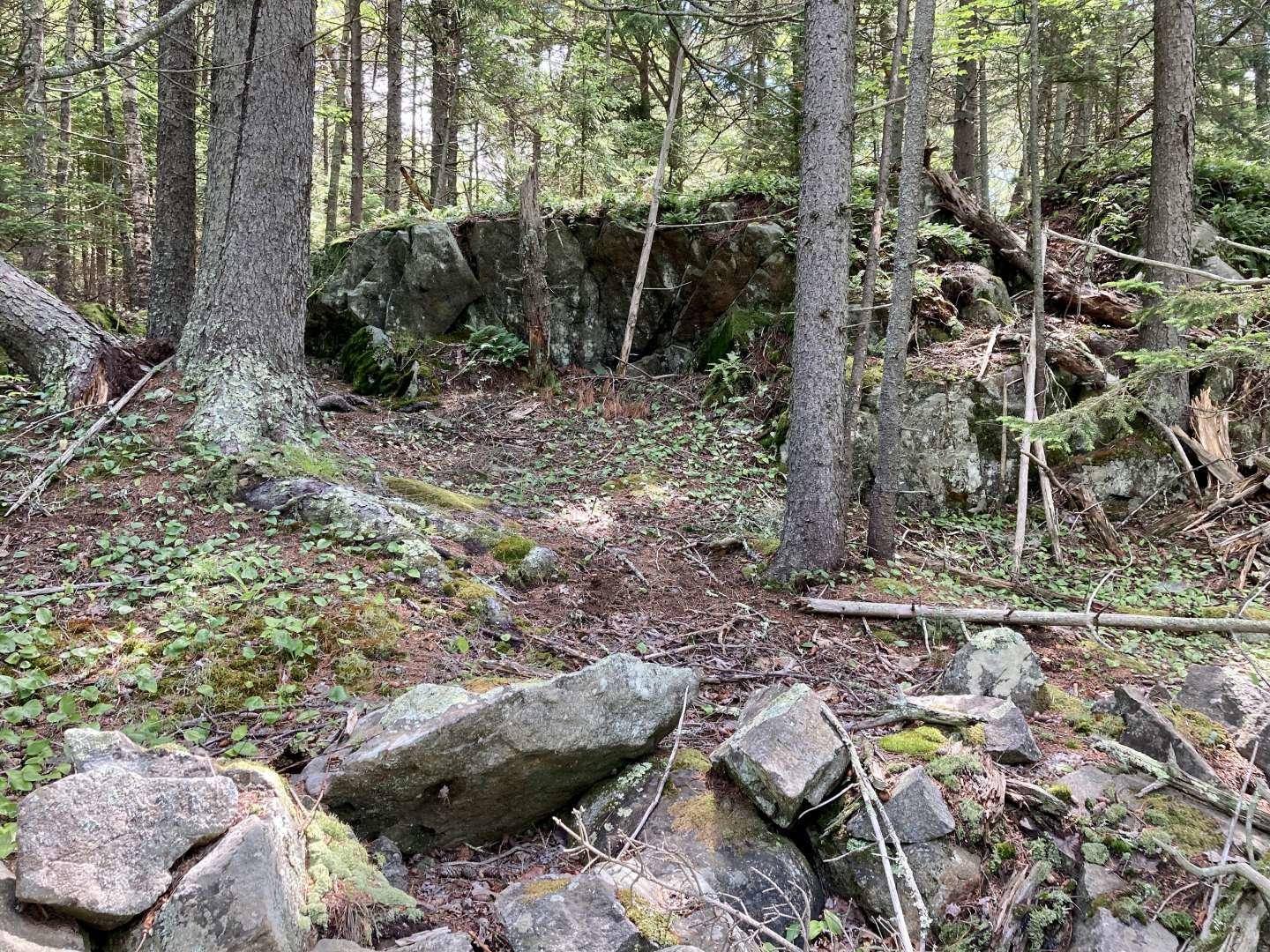 0 Wadsworth Point Road Friendship, ME 04547 - Photo 19 of 19 Li.19