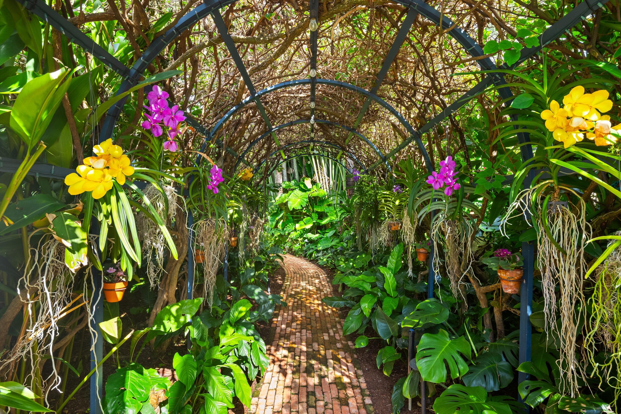 245 Dunbar Road Palm Beach, FL 33480 - Photo 4 of 36 Orchid Garden