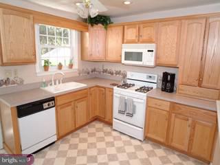 587 Rutherford Drive Springfield, PA 19064 - Photo 3 of 6