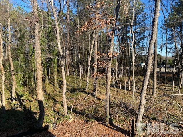 1133 Benning Street Durham, NC 27704 - Photo 12 of 22 a view of a pathway of a building